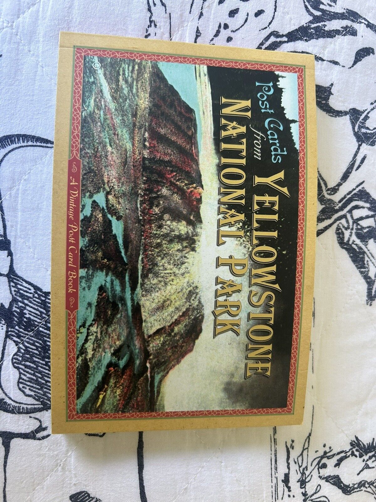 Vintage Yellowstone postcard book (23 Cards Included)