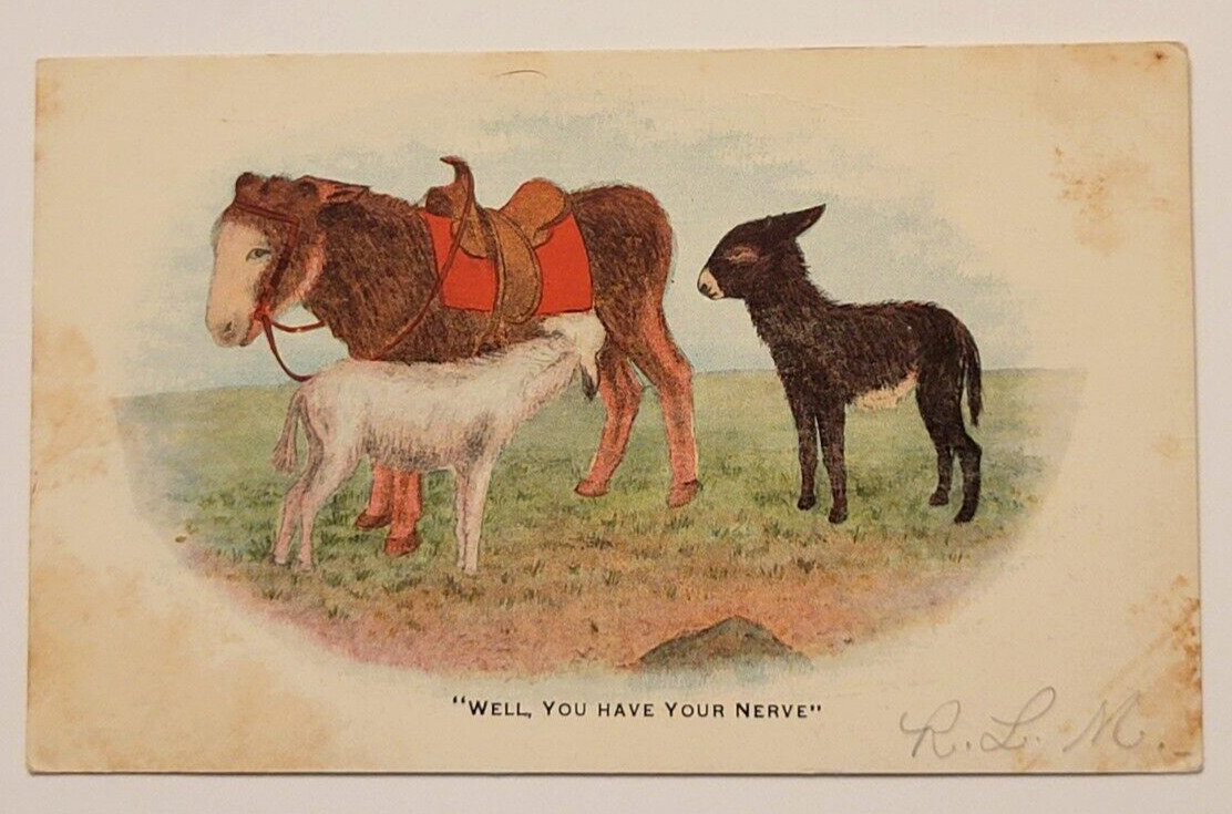Antique Donkey Nursing Satire Postcard Well You Have Your Nerve Undivided Back