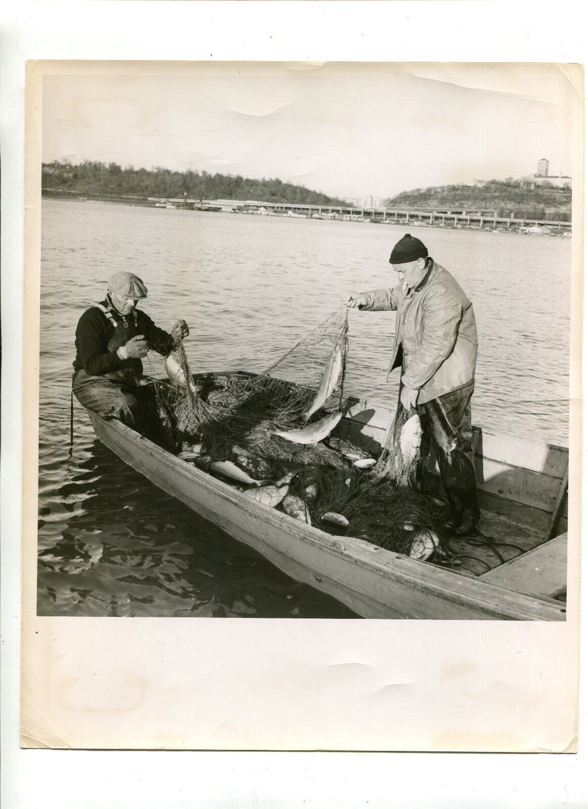 Vintage Press Photo SHAD FISHING IN SKYSCRAPER CITY Fishermen Nets Fish 