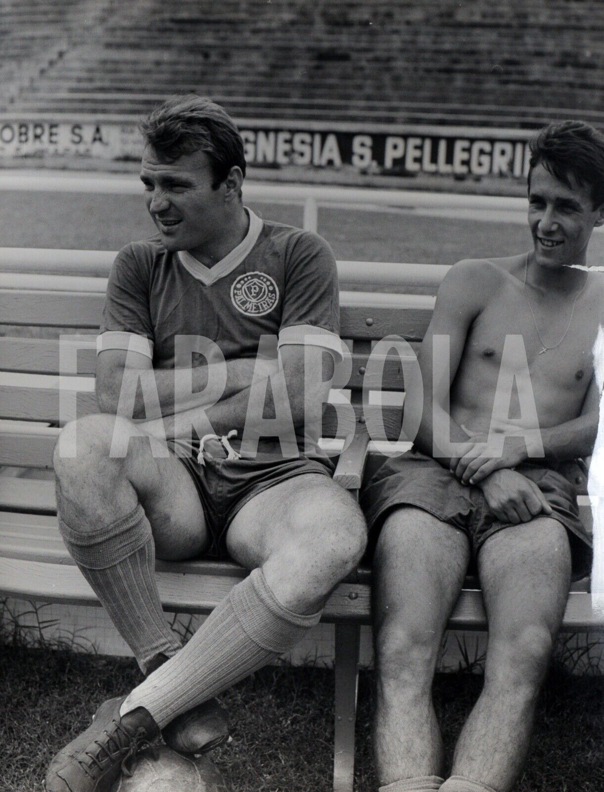 Vintage Press Photo Football, Jose Altafini, Palmeiras, 1964, print