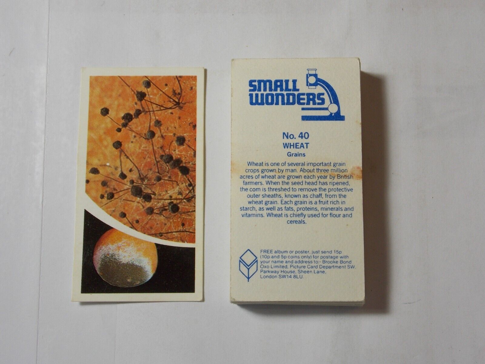 Brooke Bond Tea Cards Small Wonders 1981 Complete Set 40