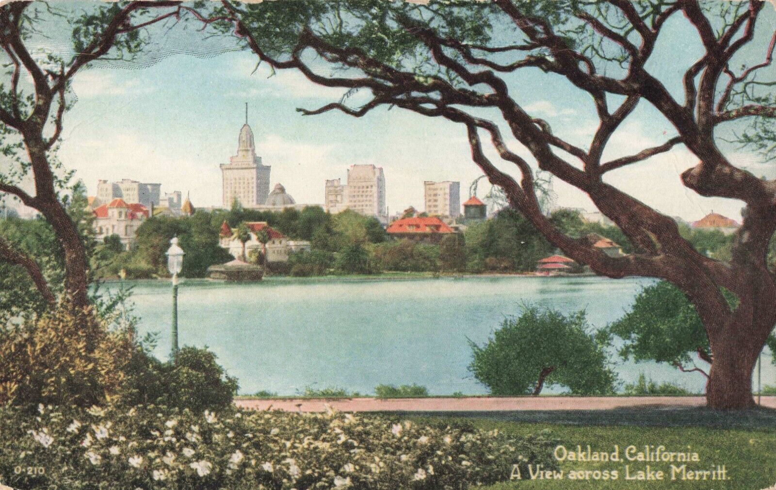 Oakland CA California, City Skyline Across Lake Merritt, Vintage Postcard