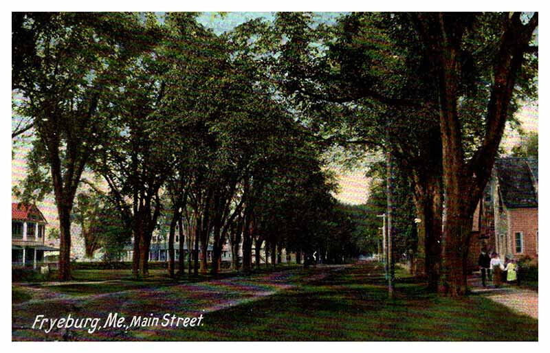 Postcard ROAD SCENE Fryeburg Maine ME AP7437