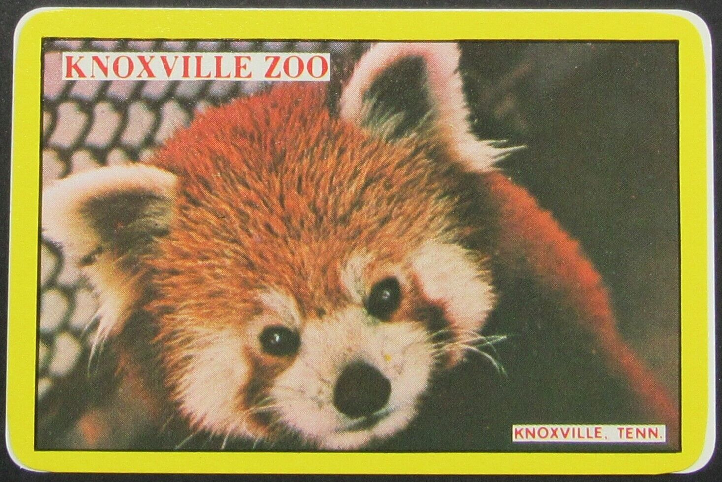 Knoxville Zoo Knoxville Tennessee Single Swap Playing Card 