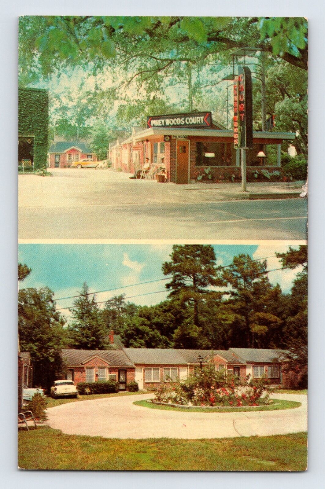 Postcard Georgia Thomasville GA Piney Woods Court Motel 1963 Posted Chrome