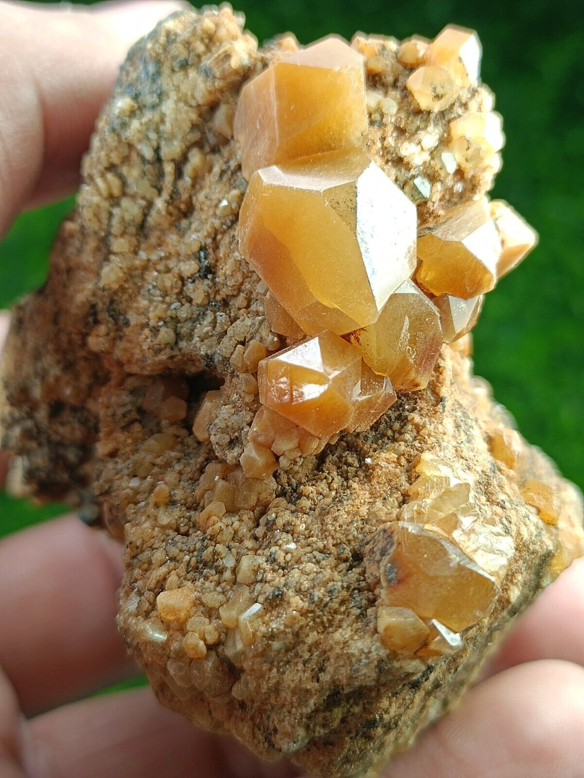 219g Rare Astrophyllite included Golden Quartz Crystals on matrix- Zagi Mnts, Pk