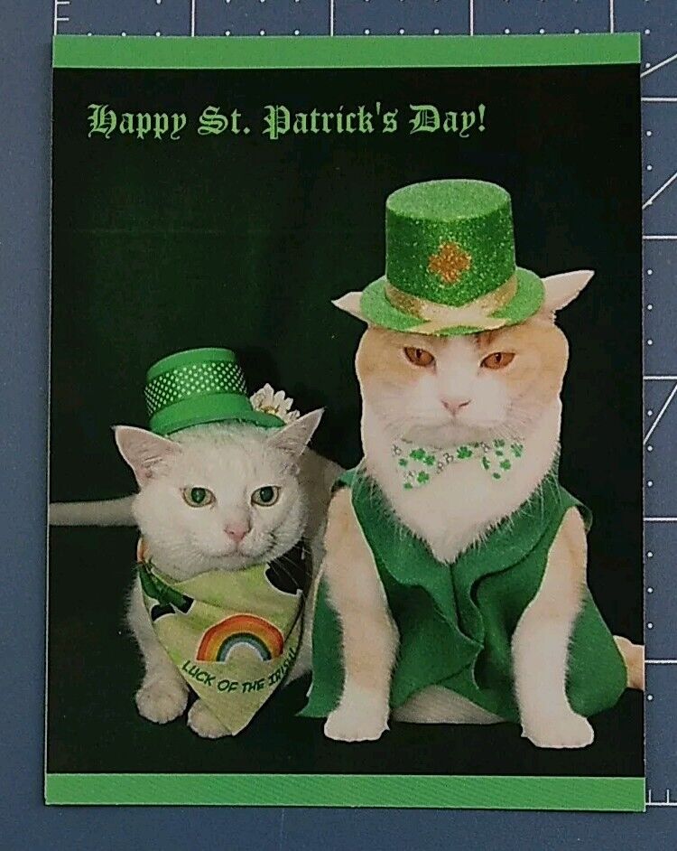 Postcard St. Patrick Kitty Cats Happy St. Patrick\'s Day 5.5\