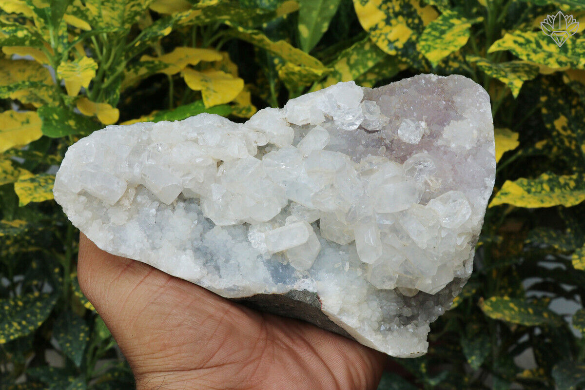 Natural White Apophyllite Minerals 728 gm Meditation Rough Specimen