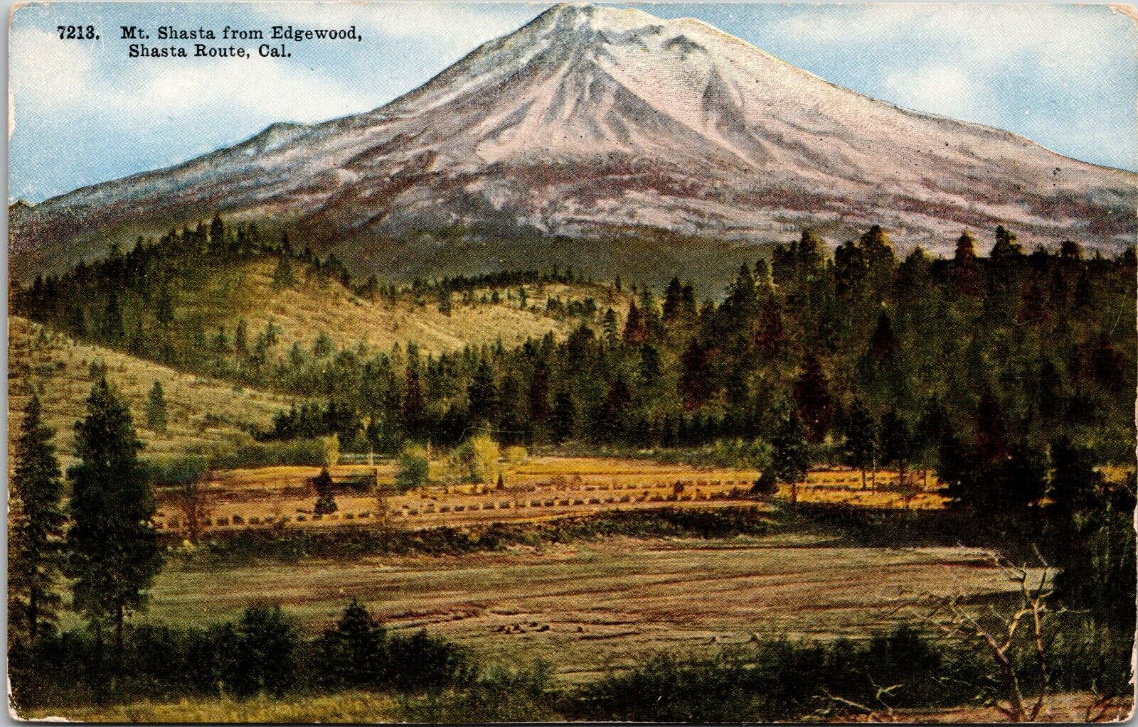 Shasta Route CA California Postcard Mt Shasta from Edgewood Pacific Novelty Card