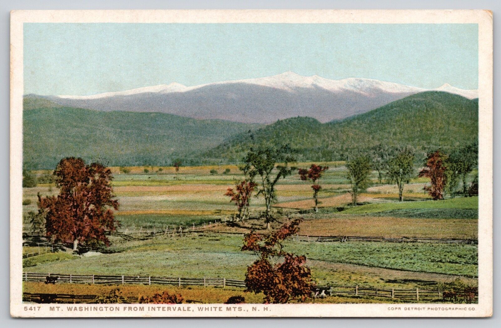 Postcard NH White Mts Mt Washington From Intervale WB UNP A10