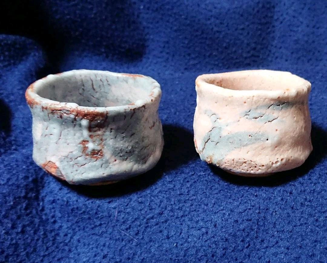Miwa Ryujizo Shino Ware Sake Cup Set Of 2 Stored In A Wooden Box