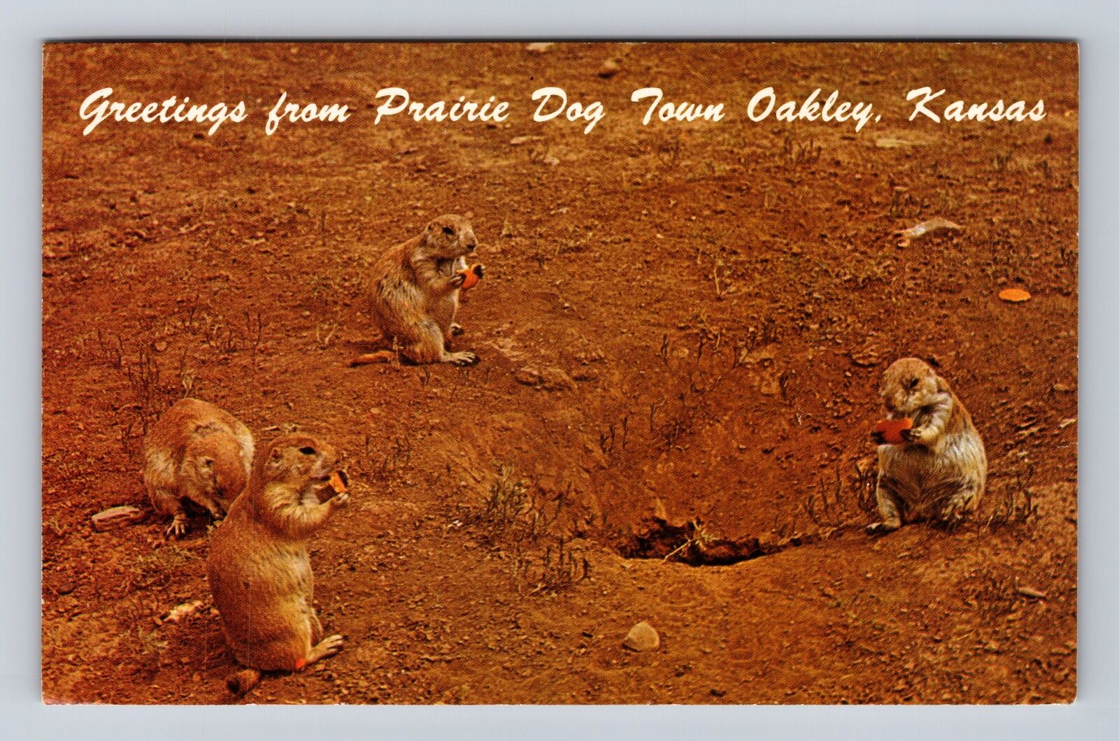 Oakley KS-Kansas, Greetings from Prairie  Town, Antique Vintage Postcard