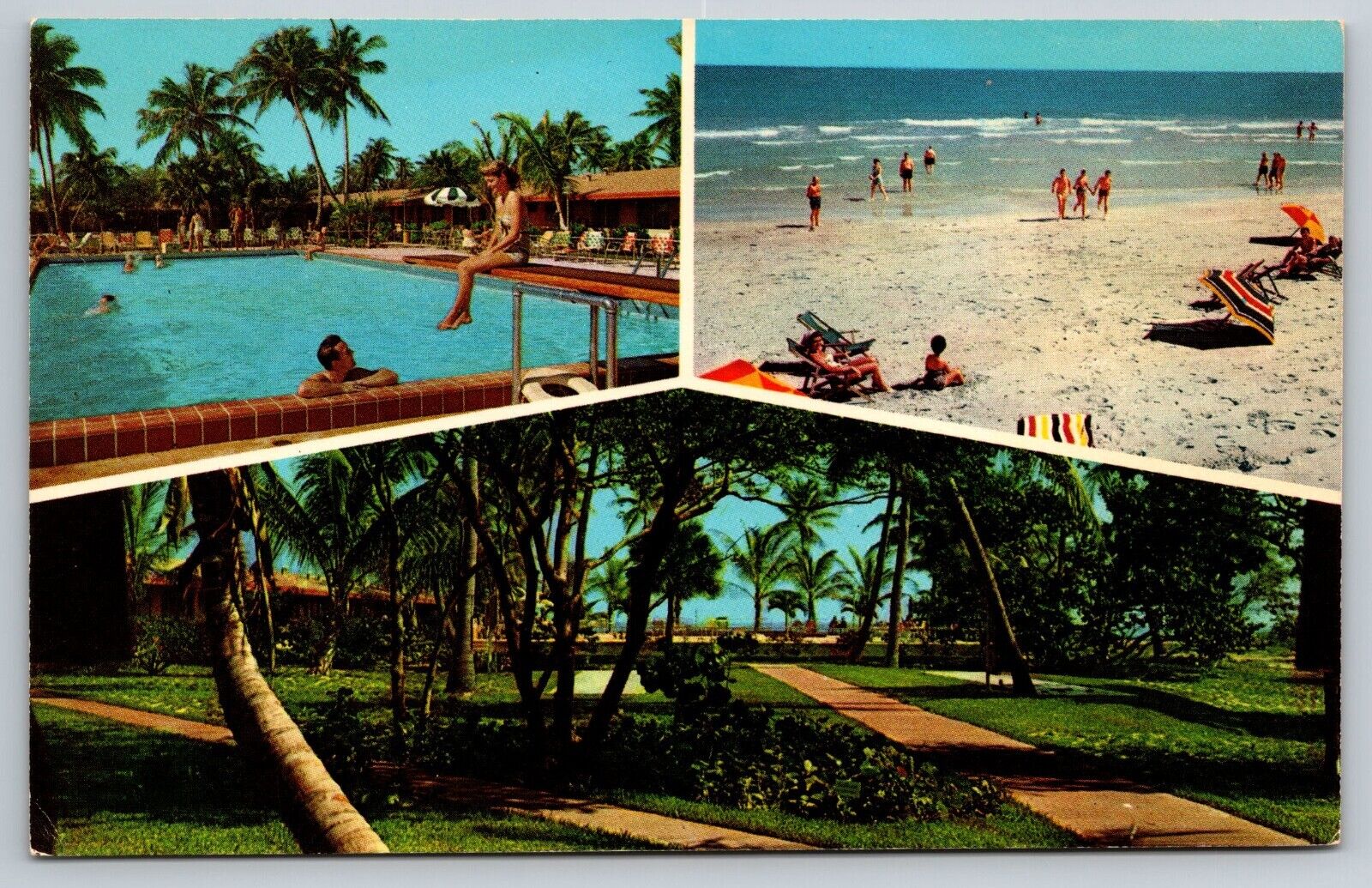 Miami Florida Silver Sands Oceanfront Motel Multi View Postcard