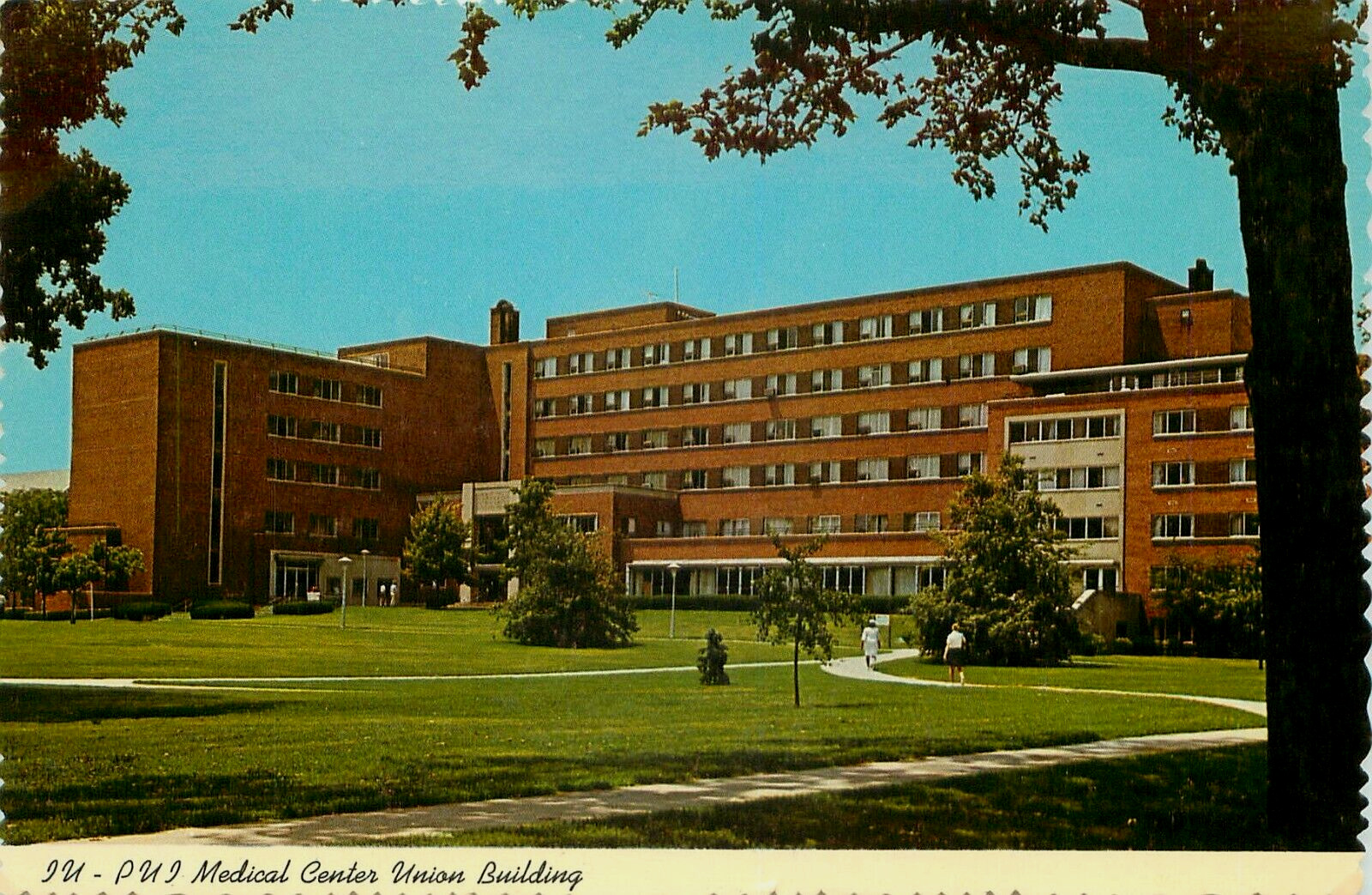 Student Union Building Indiana University Medical Indianapolis IN 6X4 Postcard