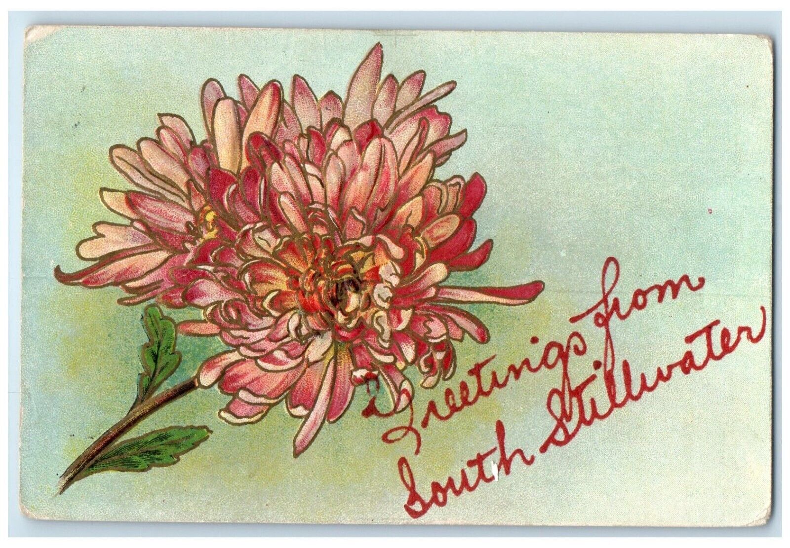 1915 Greetings From South Stillwater Minnesota MN Flowers Embossed Postcard
