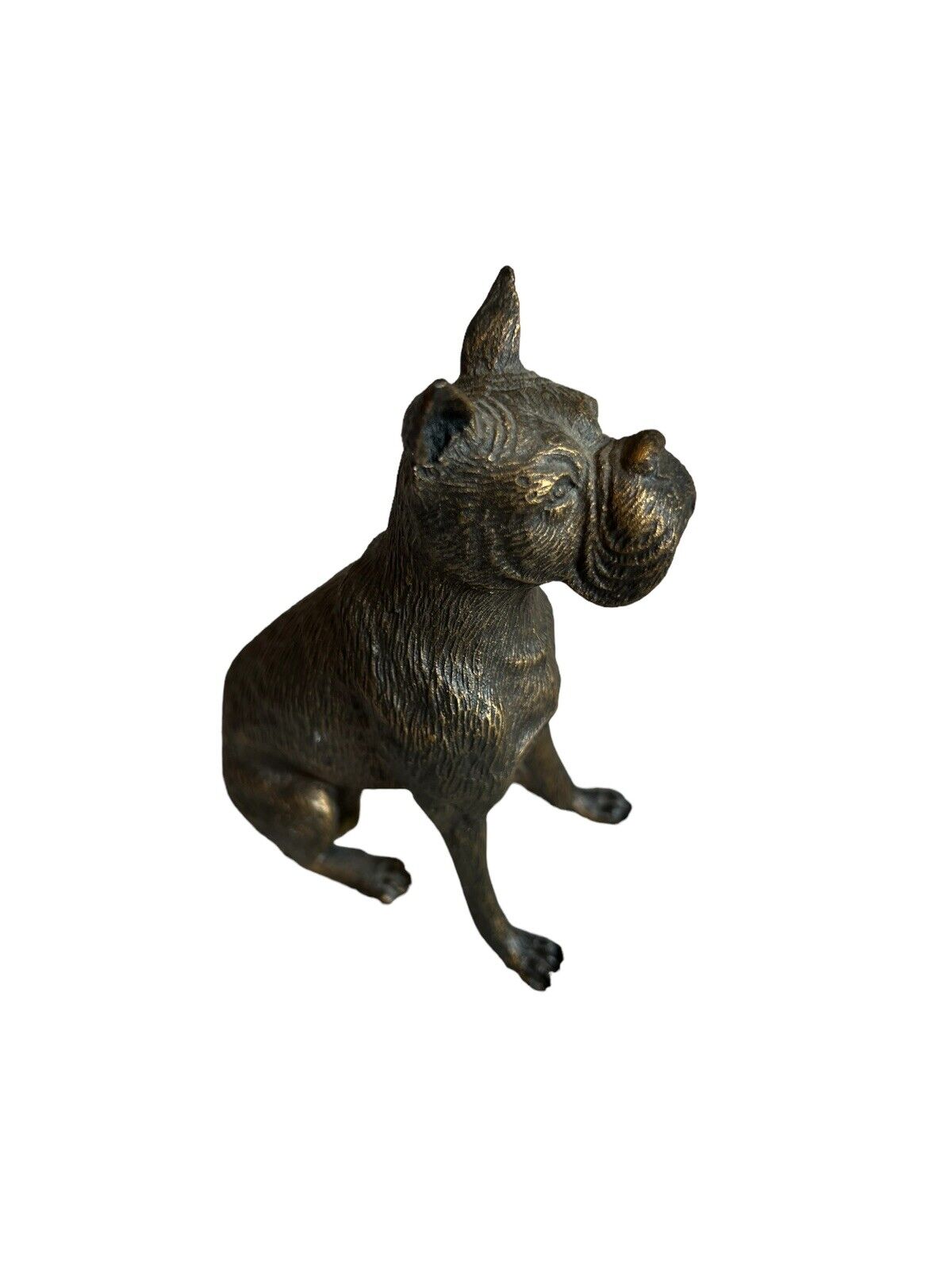 Vintage Bronze Boxer Sitting Dog Gold Brown Patina 6\