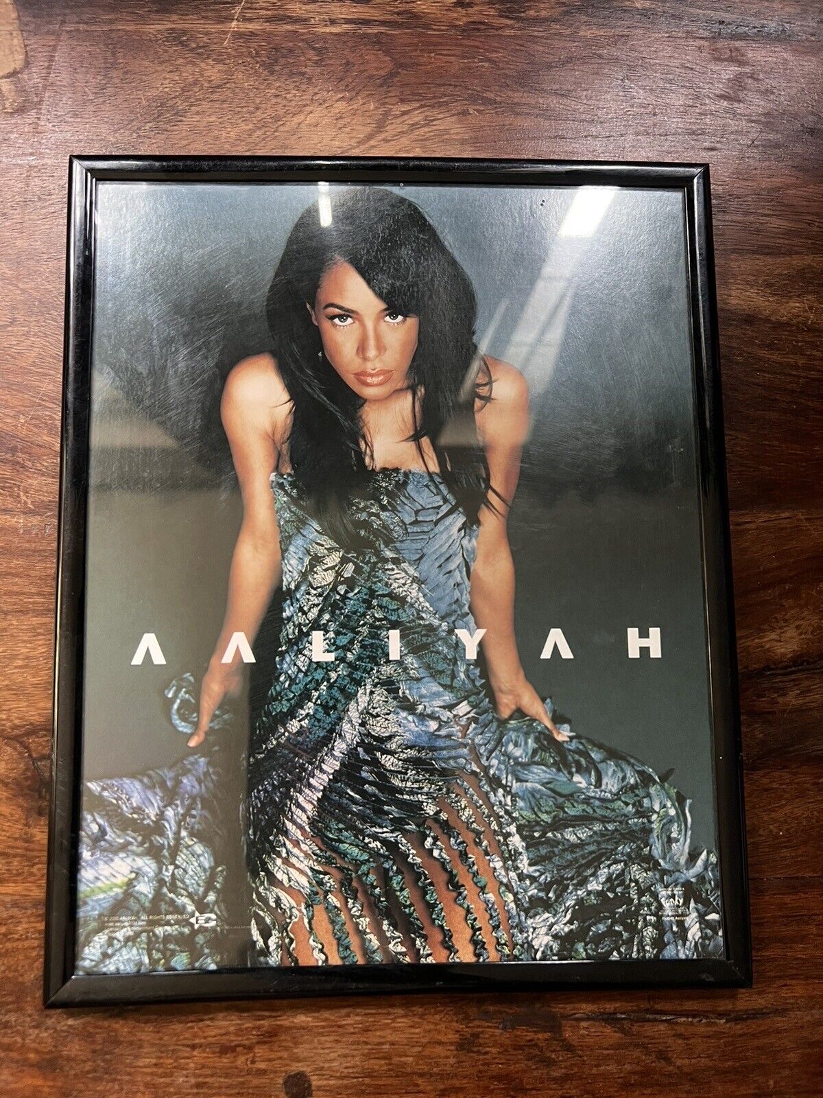 Aaliyah Framed Picture 8x10