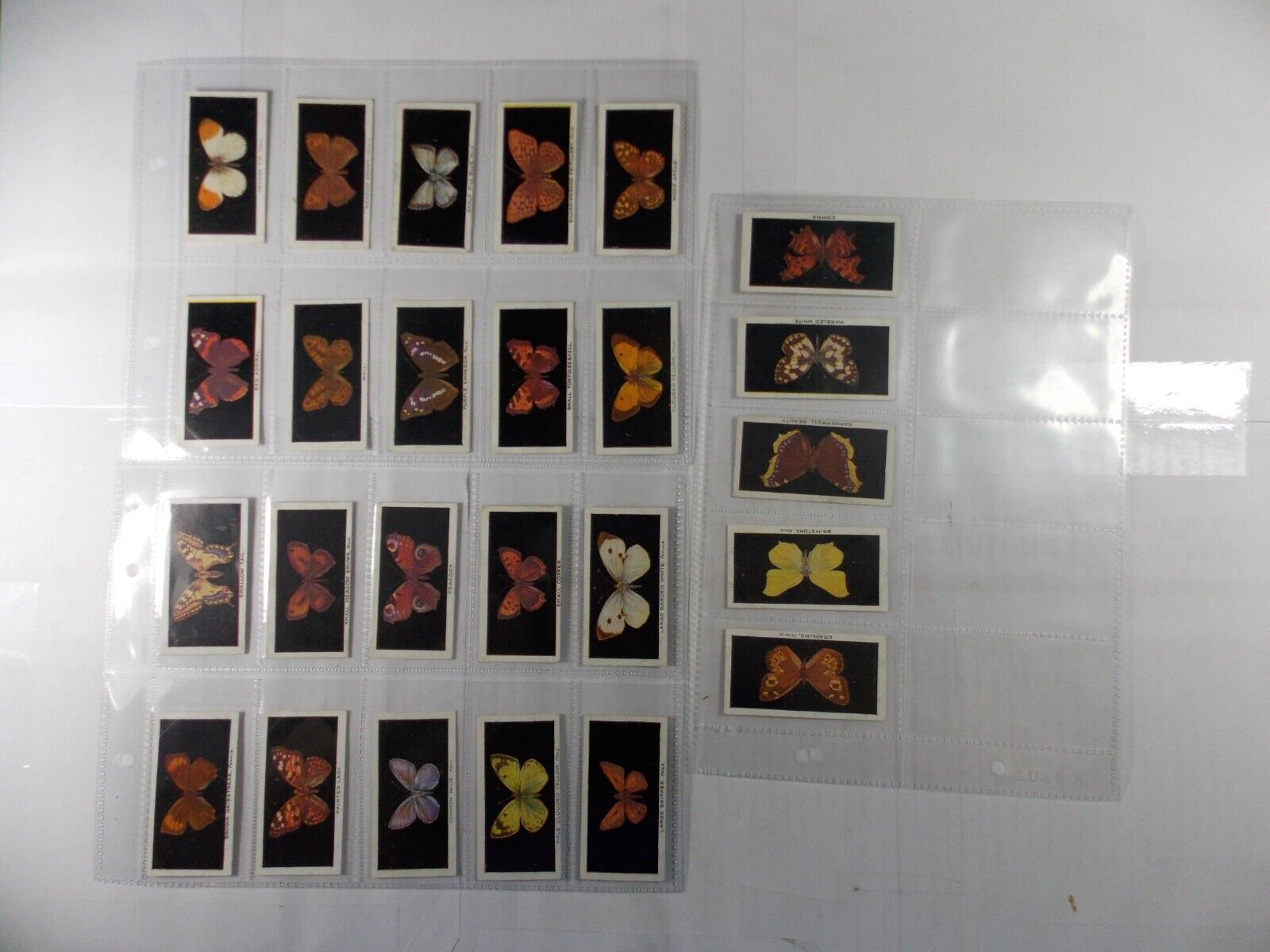 Godfrey Phillips Cigarette Cards British Butterflies 1927 Complete Set 25 Pages