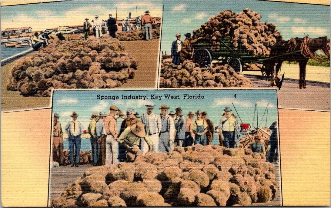 Vintage Postcard Sponge Industry Key West Florida A6