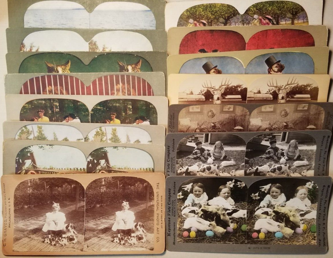 CHILDREN & ANIMALS ~ LOT of 15 Antique Stereoview Cards ~ INGERSOLL~U&U~KEYSTONE