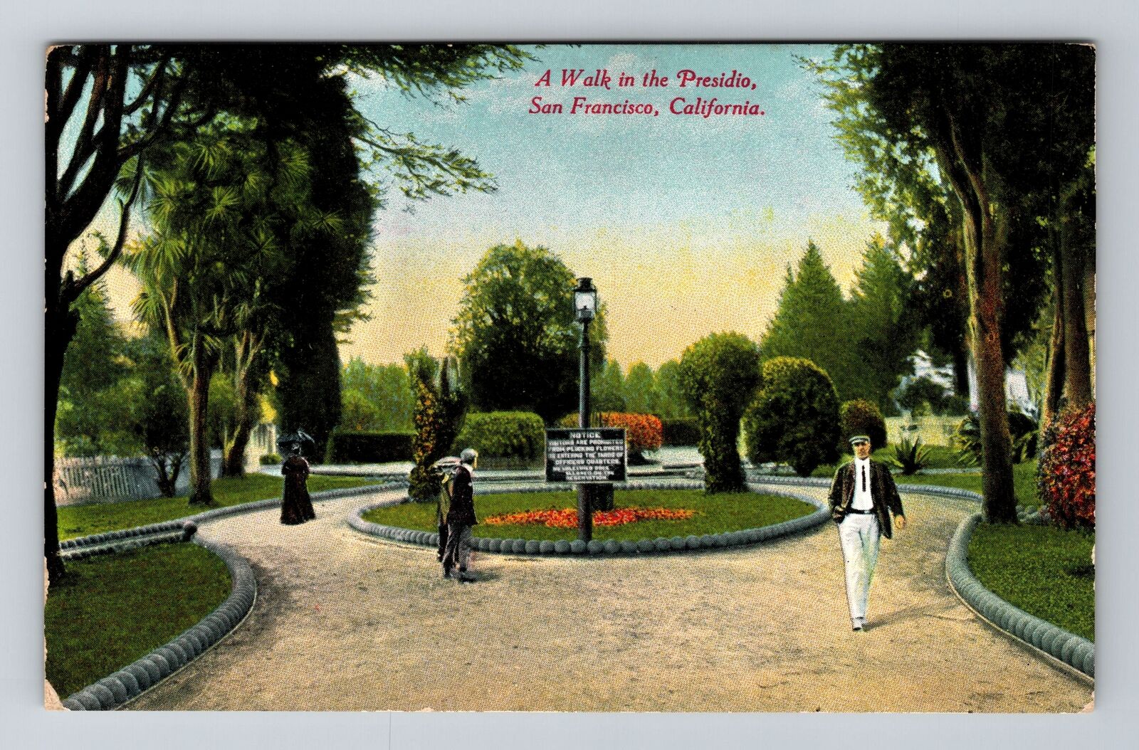 San Francisco CA-California, A Walk in the Presidio, Antique Vintage Postcard