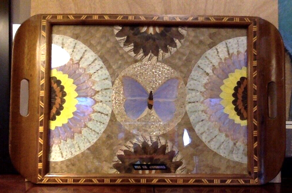 VINTAGE  LARGE MAHOGANY INLAID BUTTERFLY WING WOODEN TRAY ~ FROM BRAZIL