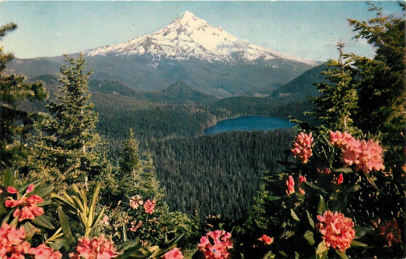 Mount Hood pm 1952 Postcard