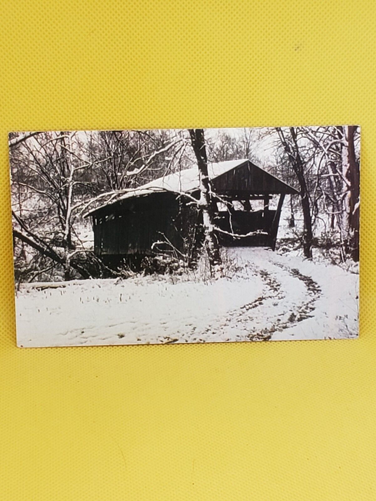 Postcard Ohio Coshocton County Covered Bridge Doughty Creek #260