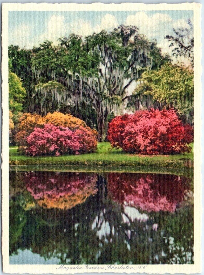 Postcard - Magnolia Gardens, Charleston, South Carolina