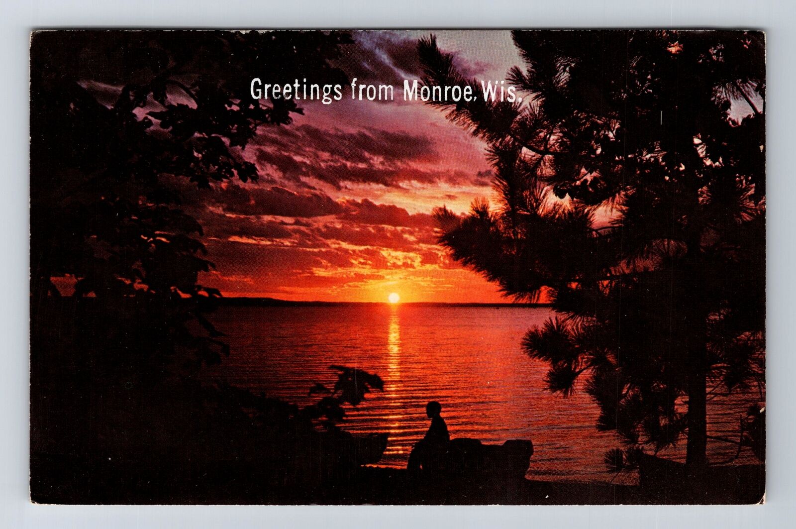 Monroe WI-Wisconsin, Sunset Through The Pines, Antique, Vintage c1972 Postcard