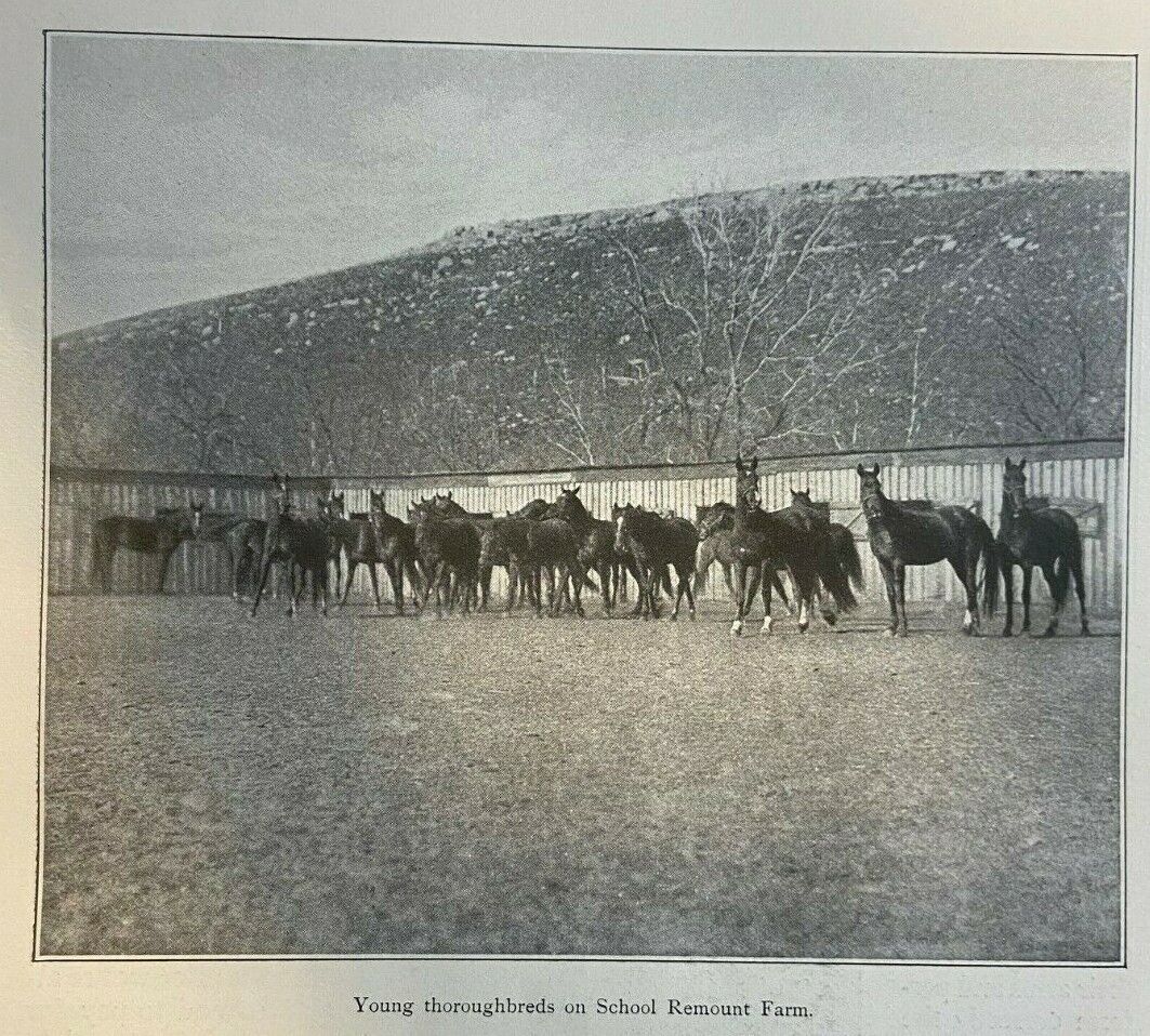 1909 Army School of Horsemanship illustrated