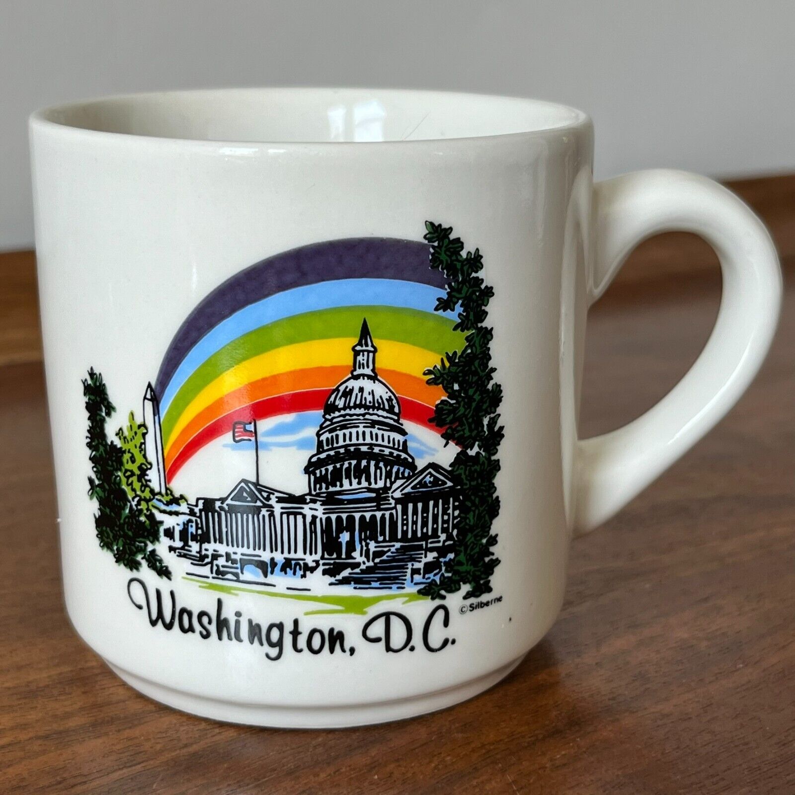 Vintage Washington D.C. Rainbow Mug SILBERNE U.S. Capitol Pride Coffee Cup