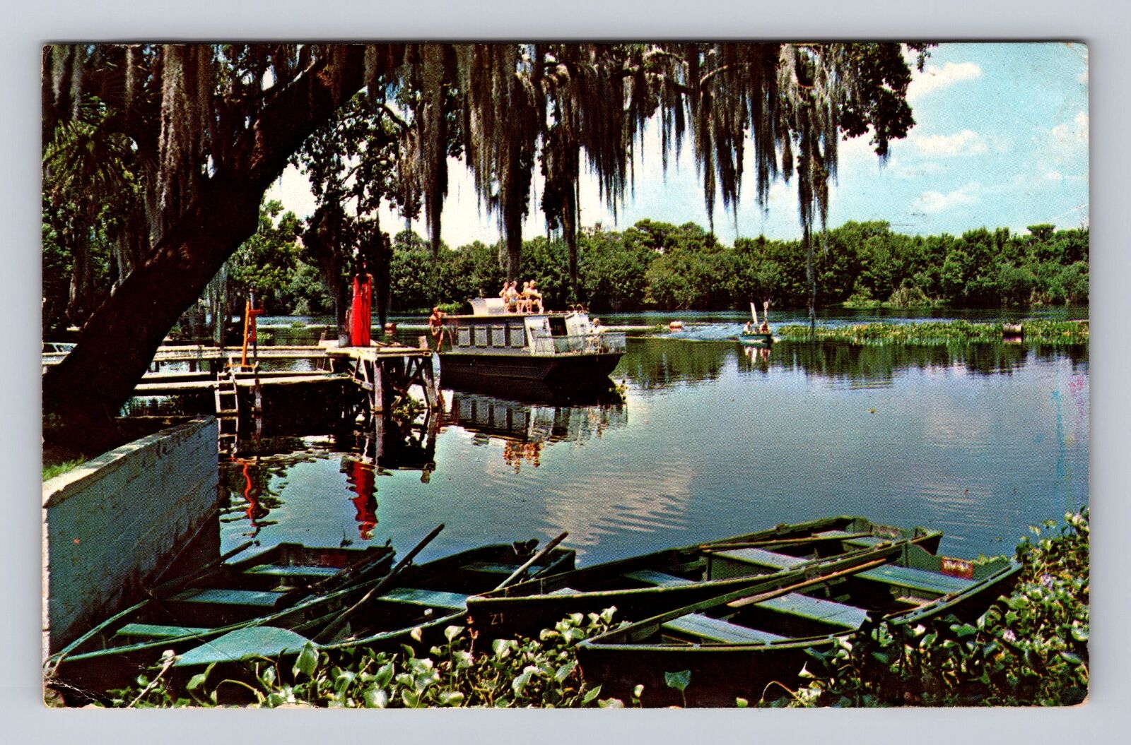 Blue Springs Park FL- Florida, Scene On St John's River, Vintage c1971 Postcard