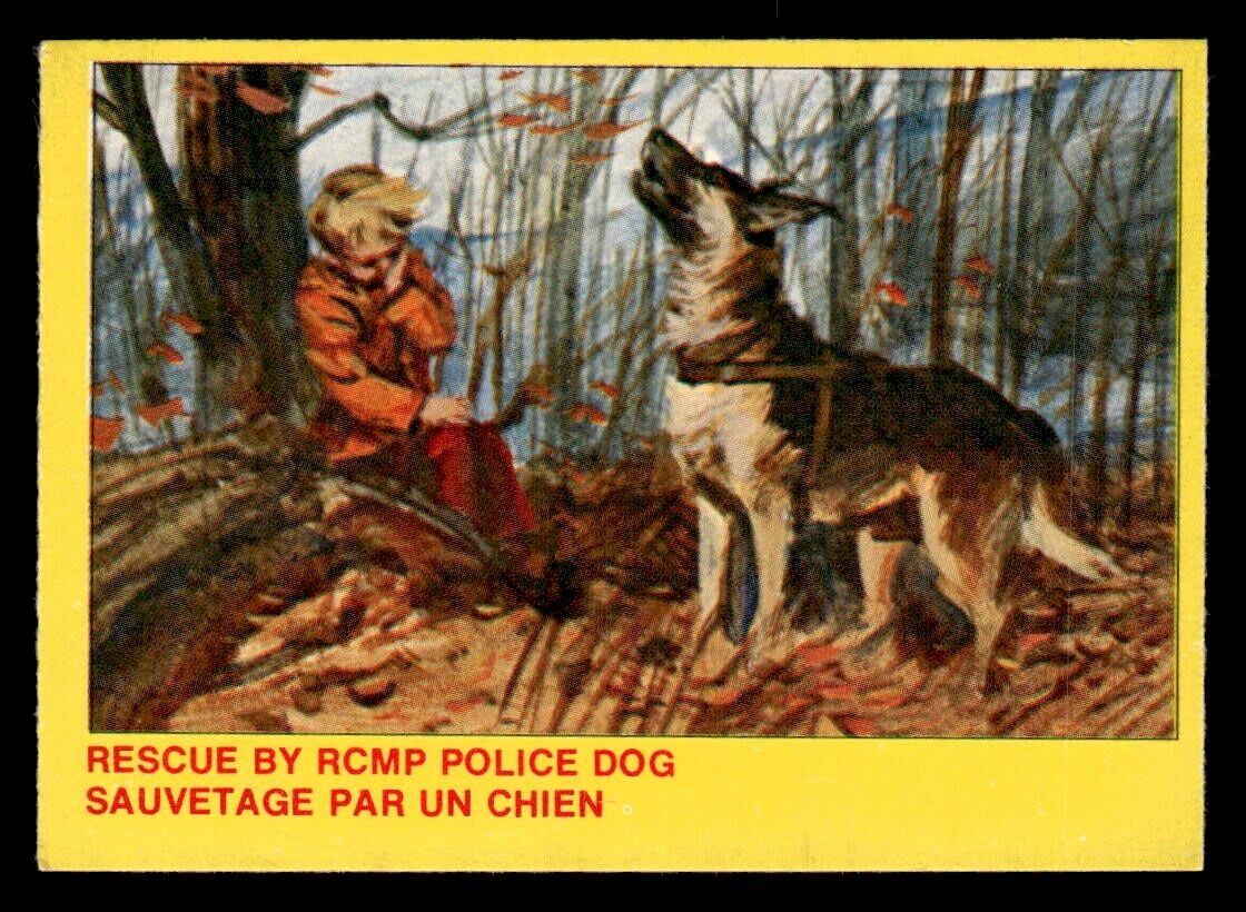 1972 OPC Royal Canadian Mounted Police #8 Rescue By Rcmp Police Dog VG