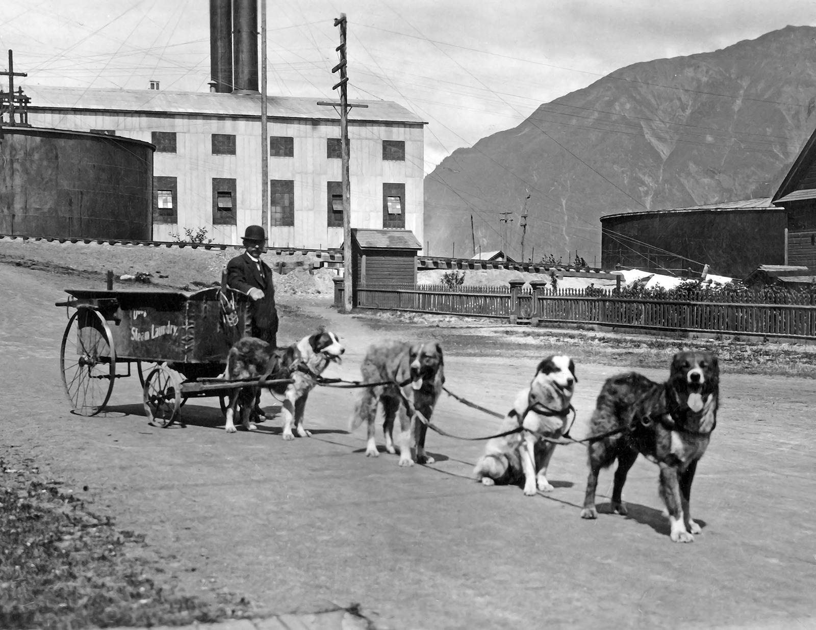 1900-1923 Laundry Delivery by Dog, Alaska Vintage/ Old Photo 8.5\