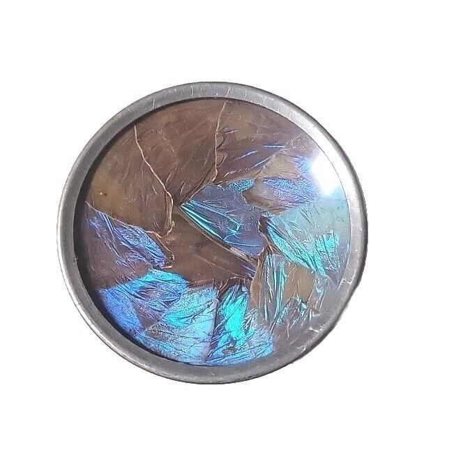 Vintage Iridescent Butterfly Wing Trinket Dish 