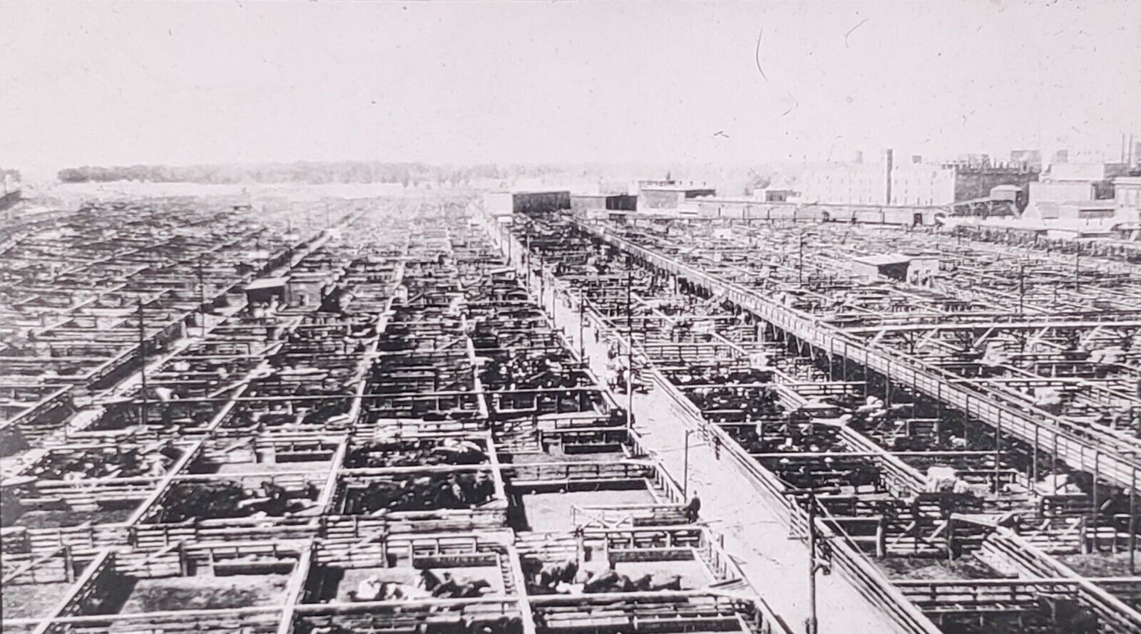 A View of the Chicago (Illinois) Stockyard, c1929 Magic Lantern Glass Slide