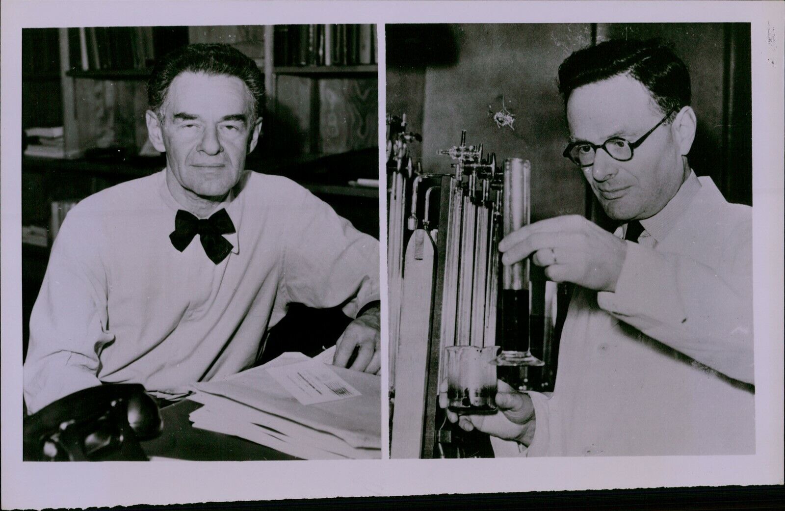 GA79 \'53 Orig Photo TWO SCIENTISTS TO SPLIT NOBEL AWARD Fritz Lipmann Hans Krebs