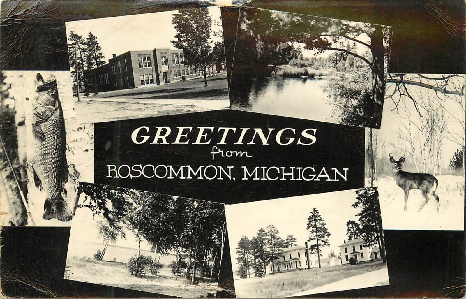RPPC Multiview Postcard Greetings From Roscommon MI Deer Fish School Park Lake