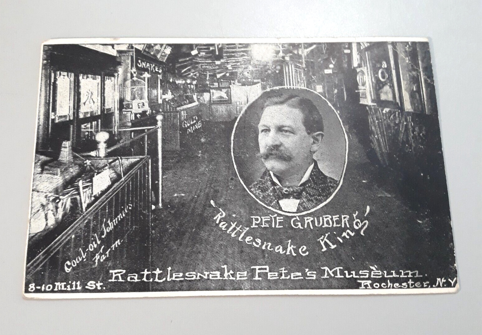 Vtg Postcard Rochester NY RATTLESNAKE PETE\'S MUSEUM Pete Gruber Rattlesnake King