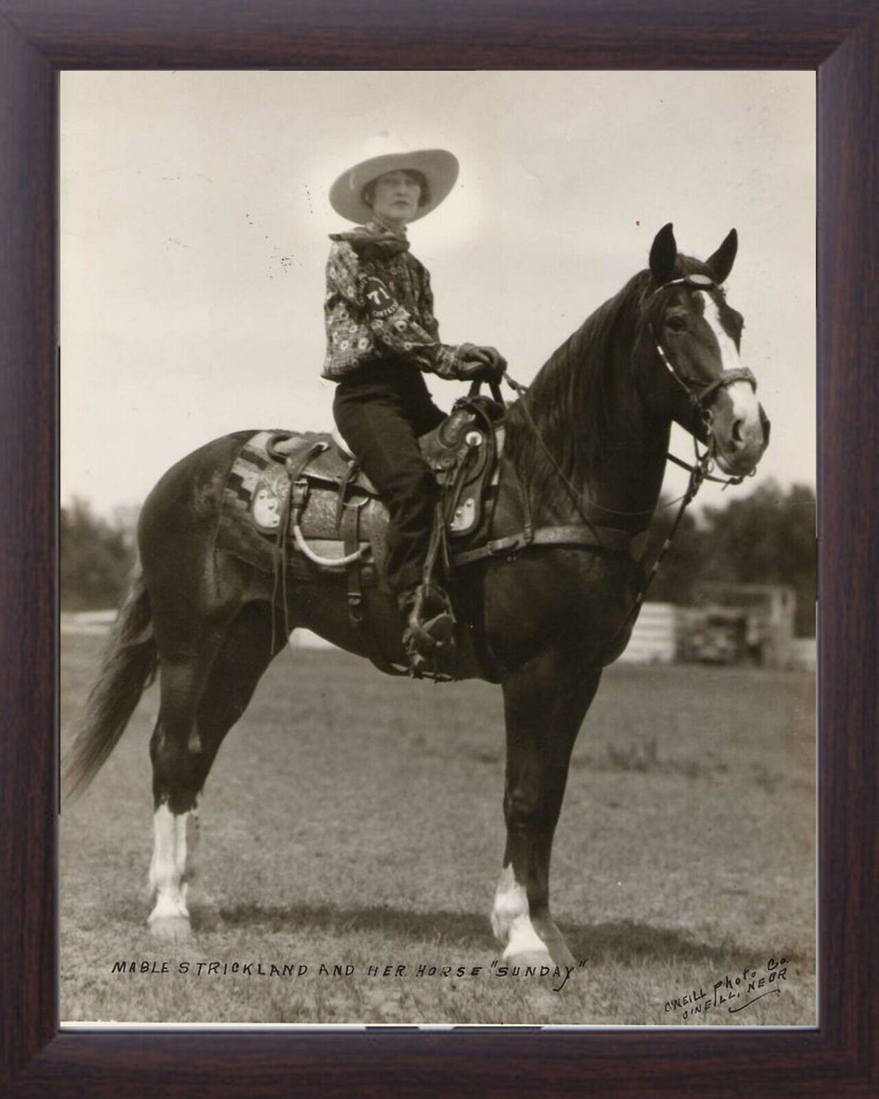 A vintage photo RODEO COWGIRL an her horse 8x10 Framed  old west rodeo