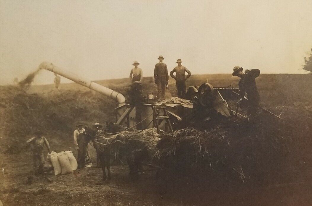 STEAM TRACTOR, THRESHING MACHINE & CREW RPPC Real Picture Postcard Rectangle T15
