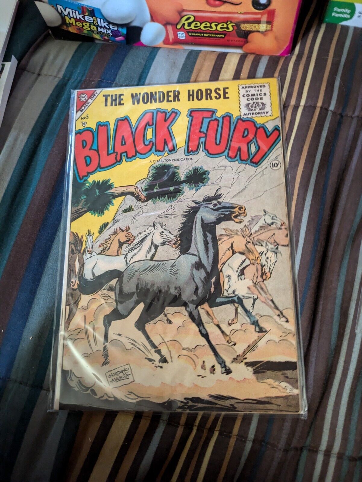 The Wonder Horse Black Fury #5 May 1956 Illustrated Softcover By Charlton Comics