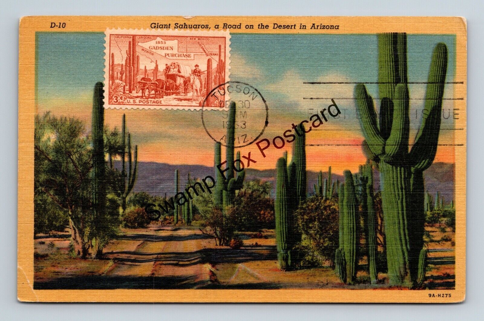 Postcard Giant Sahuaros A Road On The Desert In Arizona