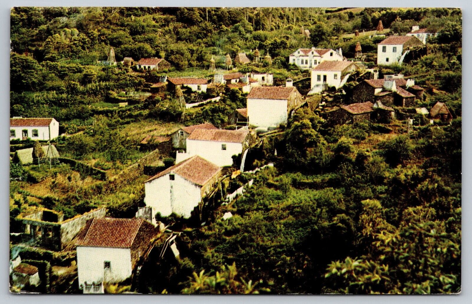 Postcard Portugal Terceira Island Azores c1960  3A