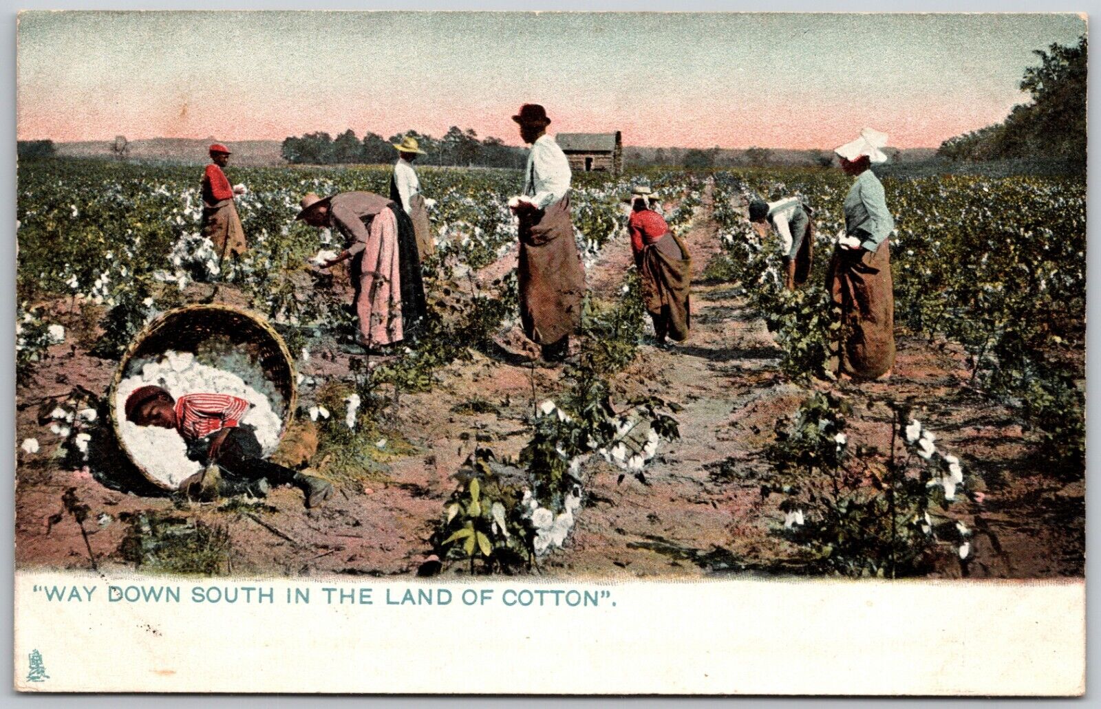 Raphael Tuck & Sons No 2370 In the Land of Cotton - Workers - 1906 Postcard 7036