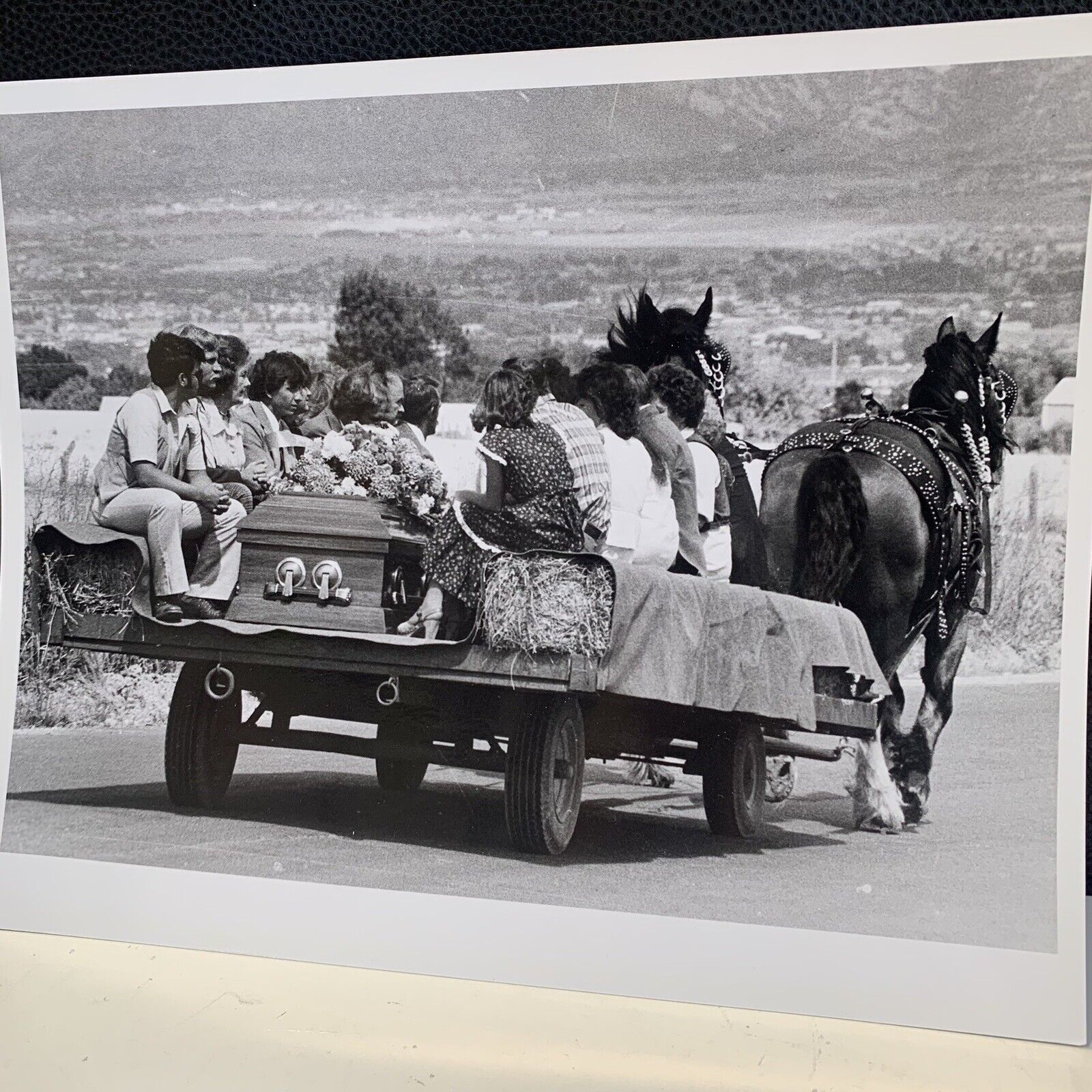 Vintage Horse Drawn Funeral Procession Photo, 8”x10” Photograph
