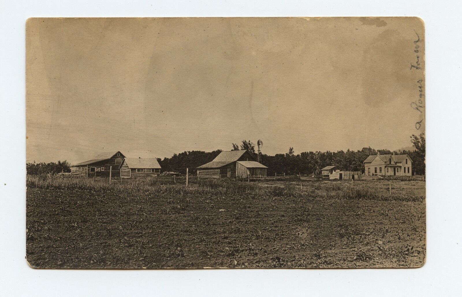 FARM SCENE old real photo postcard HILLS MN c1910 by rock rapids & luverne. rppc