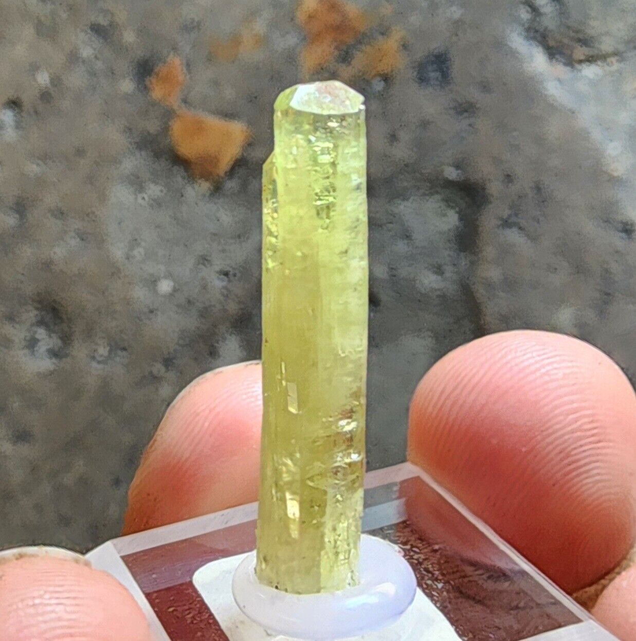 Fine Beautiful Electric Gem Green Vesuvianite Crystal - Jeffrey Mine Canada Mini