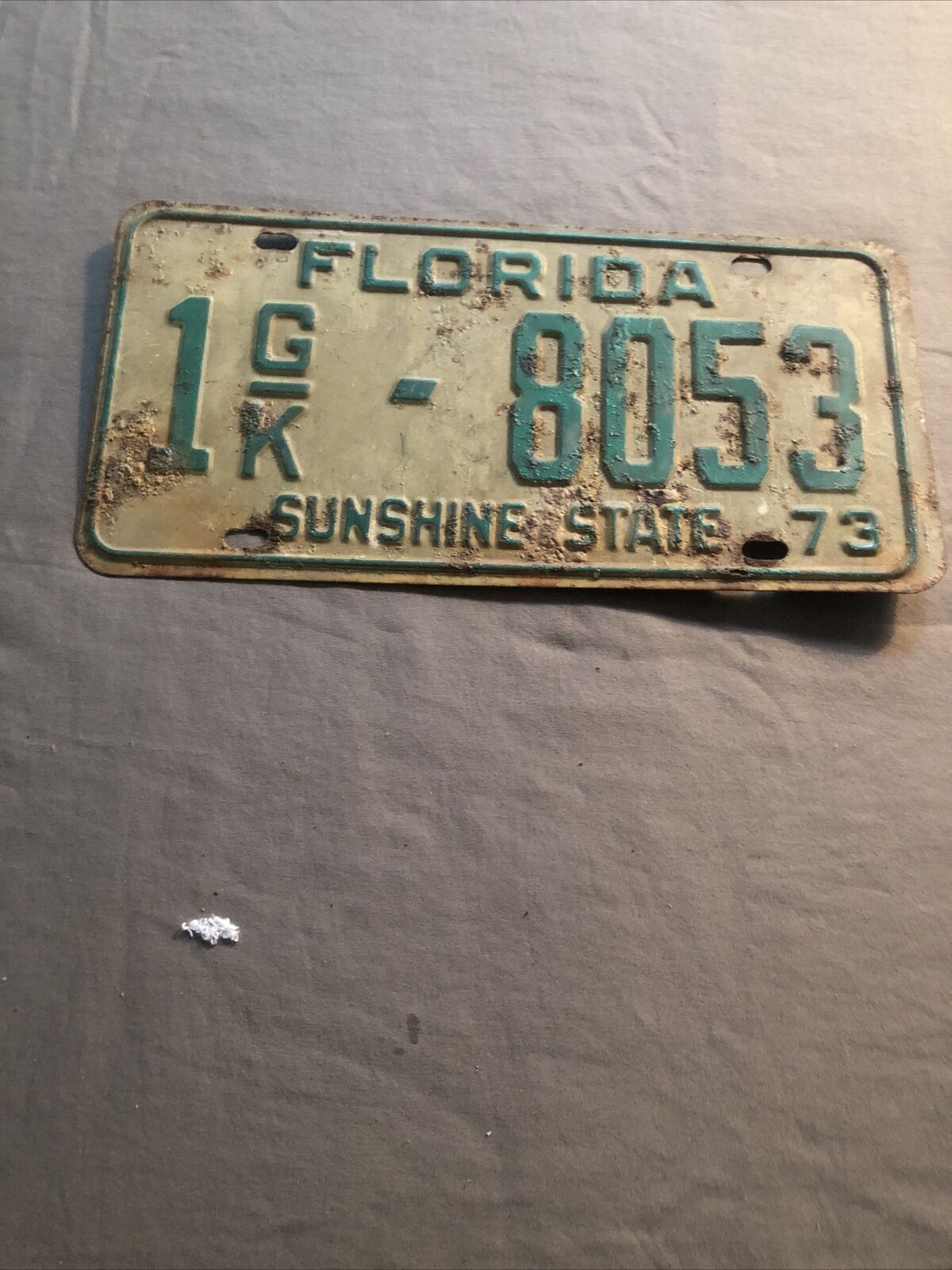 Vintage  1973  FLORIDA  SUNSHINE STATE License Plate